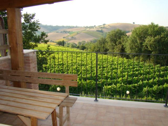Agriturismo Vecchio Gelso Ortezzano Exterior photo